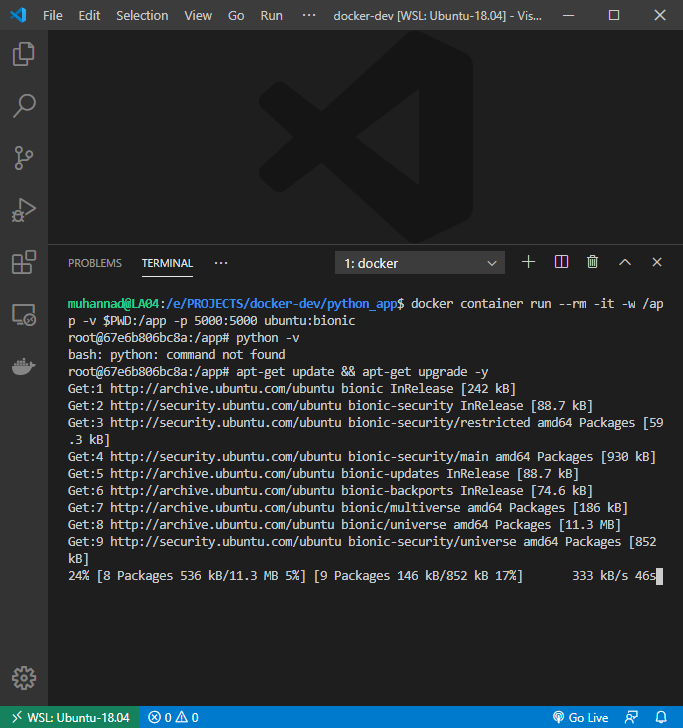 Install Packages in Container